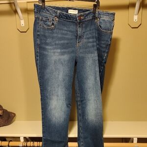 Lane Bryant Medium Blue Skinny Jeans